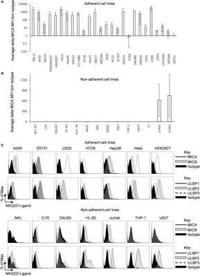 MICA Expression Is Regulated by Cell Adhesion and Contact in a FAK/Src-Dependent Manner